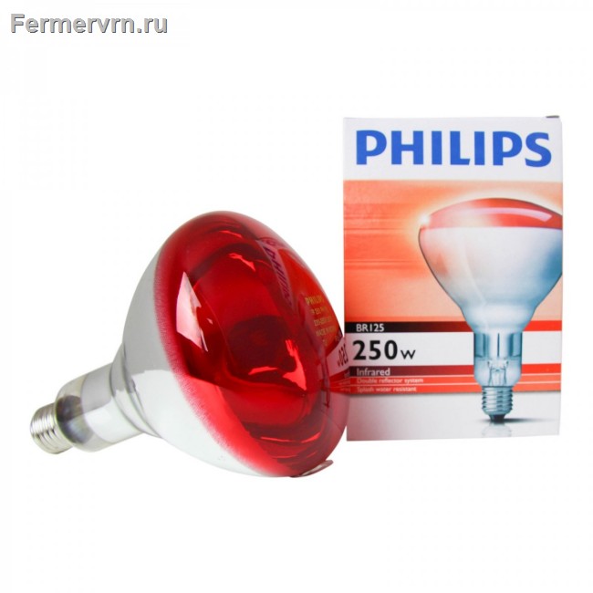 Лампа накаливания Philips (красная) 175 Вт 